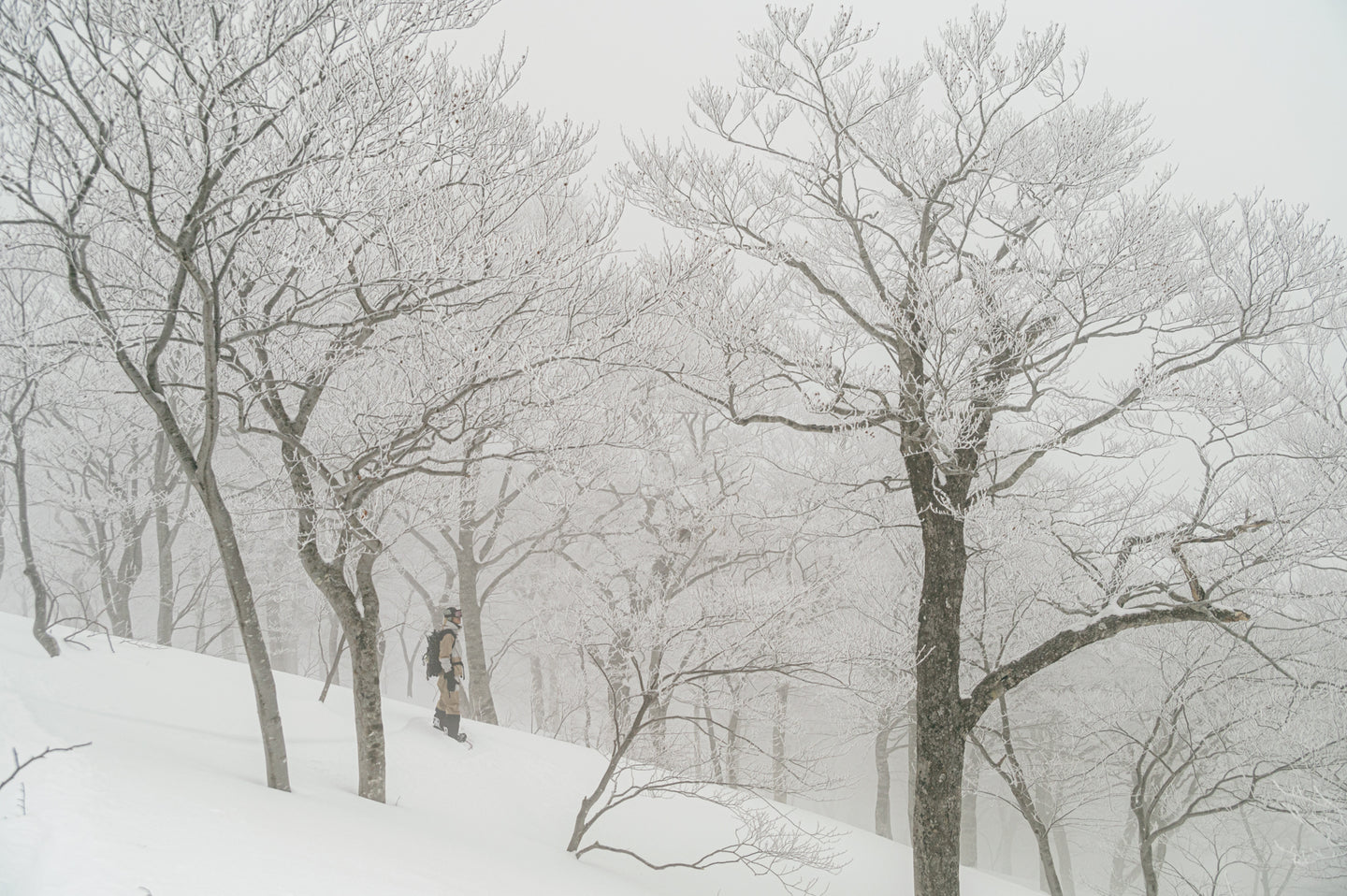 Snow Peak x mountain of moods