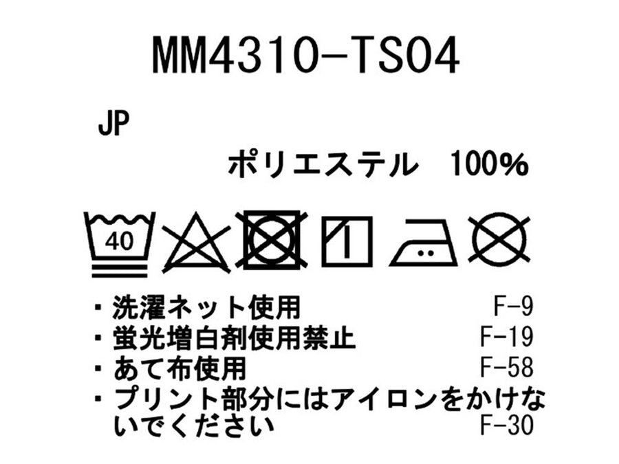 MM4310-TS04
